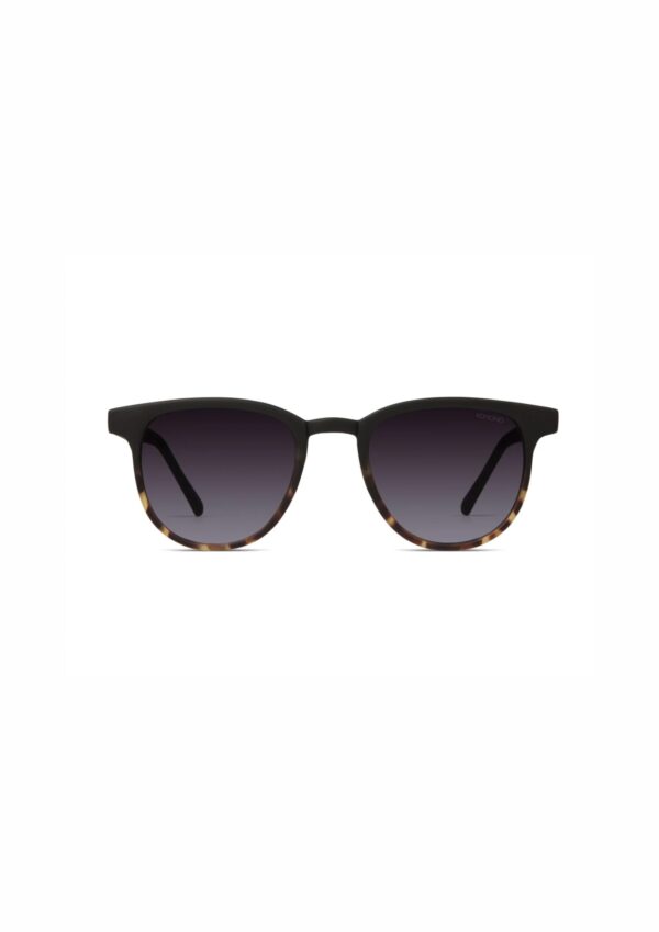 Francis Matte Black Tortoise