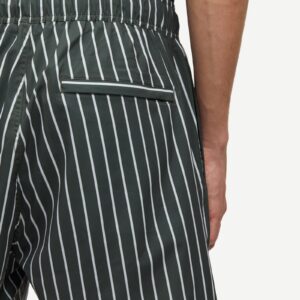 MOSES SWIM SHORTS AOP 14702 climbing ivy st